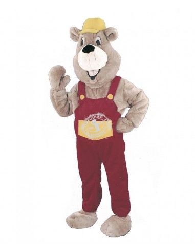 Beaver costume della mascotte 8 (carattere pubblicitario)