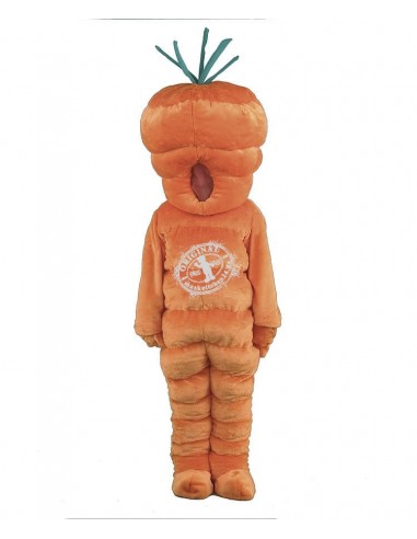 110b Wortel Costume Mascot goedkoop kopen