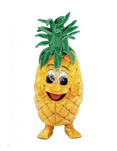 164c mascotte costume ananas acheter pas cher