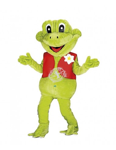 176b Mascota del traje del rana comprare a buon mercato