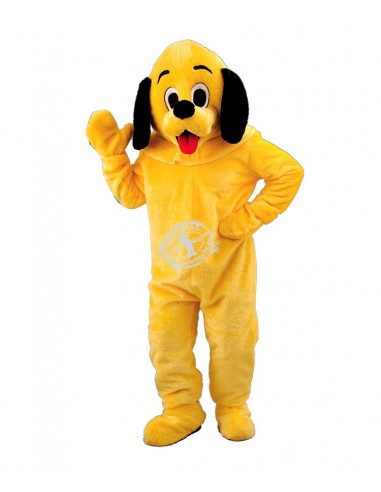 Hunde Kostüme Maskottchen 16p 3 ✅ Günstig kaufen ✅ Produktion ✅