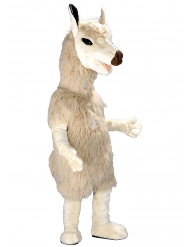 228b1 Mascota del traje del lama comprare a buon mercato