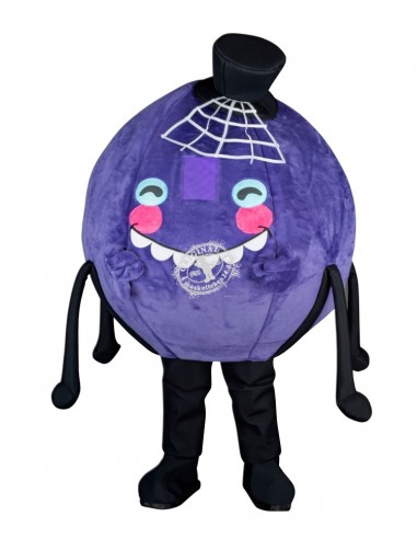 278c Spinnen Kostüm Maskottchen günstig kaufen