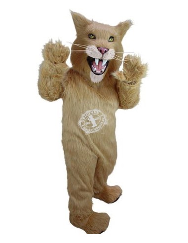 Cat Costume Mascot 5 (Advertising Character)
