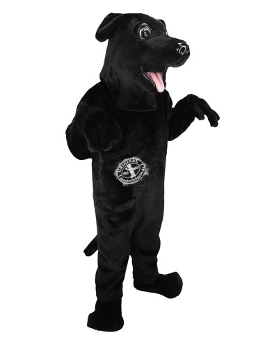 Dog Costume Mascot 7 (Advertising Character)