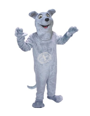 Dog Costume Mascot 14 (Advertising Character)