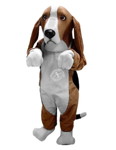 Beagle Hund Kostüm Maskottchen 35 (Werbefigur)