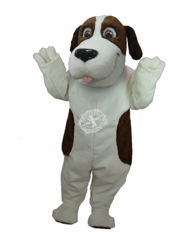 Saint Bernard Dog Costume Mascot 37 (Advertising Character)