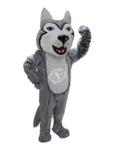 Husky Dogs Mascot Costume 40 (Professional)