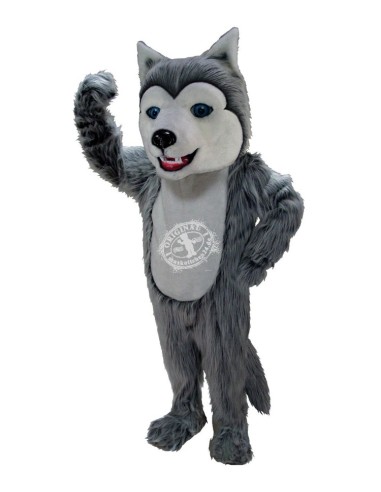 Husky Cani Costume Mascotte 41 (Professionista)