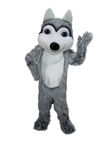Husky Cani Costume Mascotte 42 (Professionista)