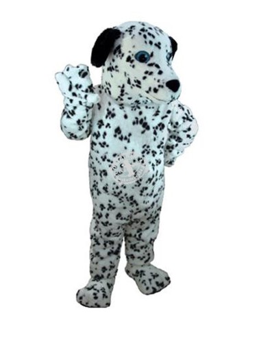 Dalmatiner Hunde Maskottchen Kostüm 46 (Professionell)