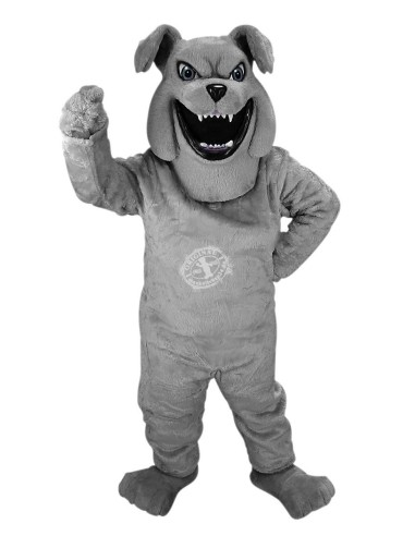 Bulldogge Hund Kostüm Maskottchen 49 (Werbefigur)