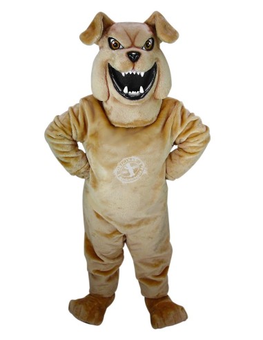 Bulldog Dog Costume Mascot 50 (Advertising Character)