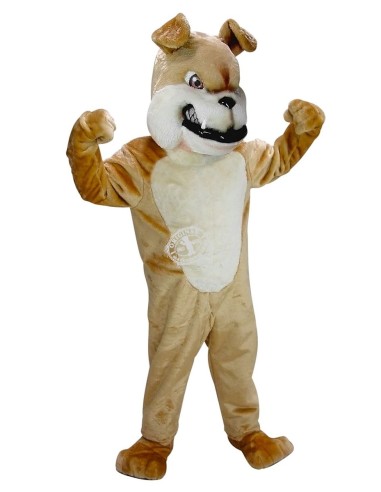 Bulldog Dog Costume Mascot 51 (Advertising Character)