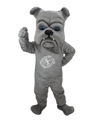 Bulldog Cani Costume Mascotte 55 (Professionista)