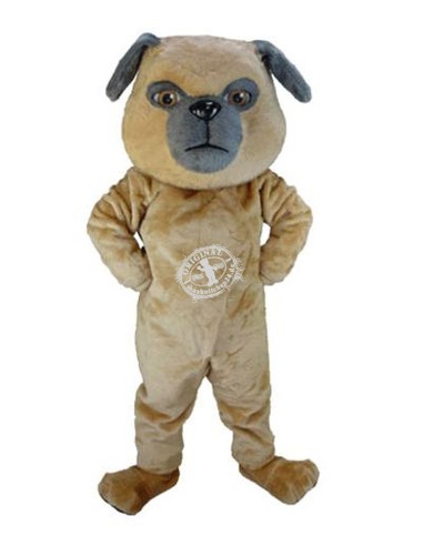 Buldog Perros Disfraz de Mascota 59 (Profesional)