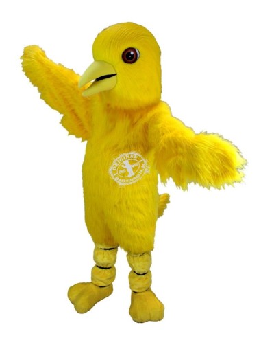 Kanarienvogel Maskottchen Kostüm 1 (Professionell)