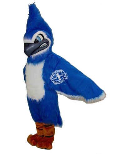 Geai Bleu Oiseau Costume Mascotte 2 (Personnage Publicitaire)