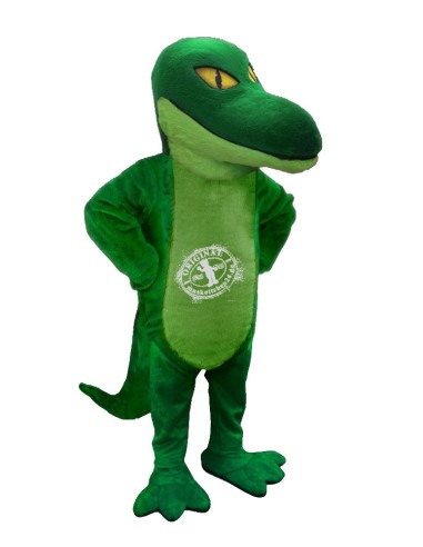 Dinosaure Costume Mascotte 5 (Personnage Publicitaire)