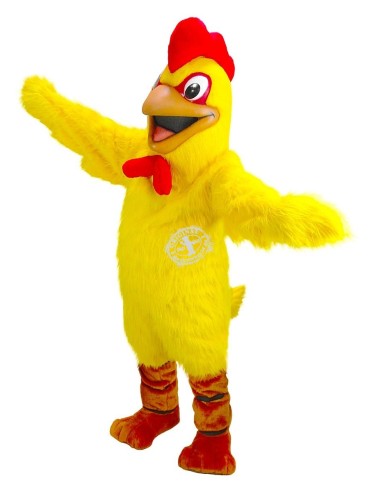 Pollo / Gallina Disfraz de Mascota 4 (Personaje Publicitario)