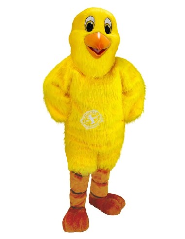 курица Костюм талисмана 5 (рекламный персонаж)