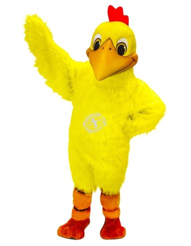 курица Костюм талисмана 6 (рекламный персонаж)