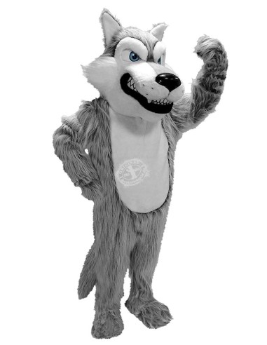 Wolf Kostüm Maskottchen 1 (Werbefigur)