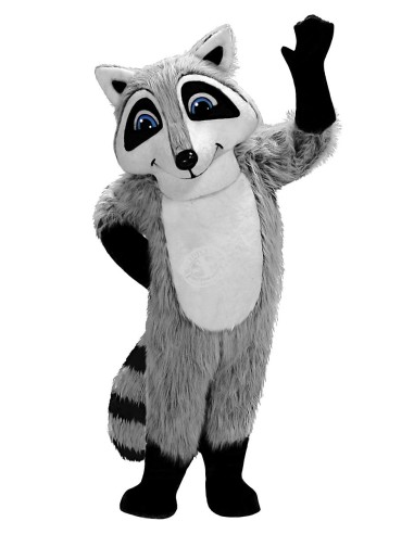 Racoon Costume Mascot 1 (Advertising Character)