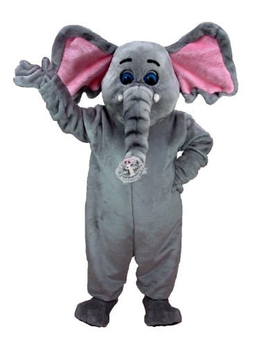 Elefanti Costume Mascotte 7 (Professionista)