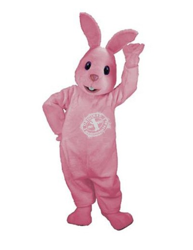 Conejos Disfraz de Mascota 11 (Profesional)