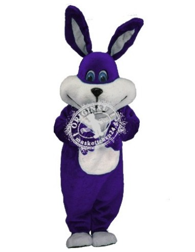 Rabbits Mascot Costume 15 (Professional)