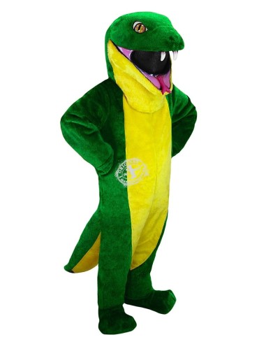 Serpientes Disfraz de Mascota 2 (Personaje Publicitario)