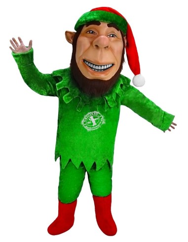 Elves Person Costume Mascot 1 (Advertising Character)