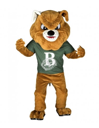 264b Mascota del traje del Buldog comprare a buon mercato