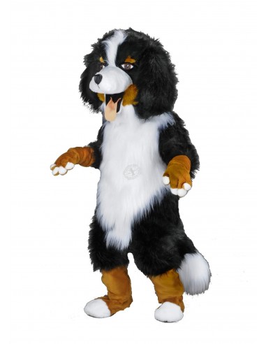 213b Berner Sennenhond Kostuum Mascot goedkoop kopen